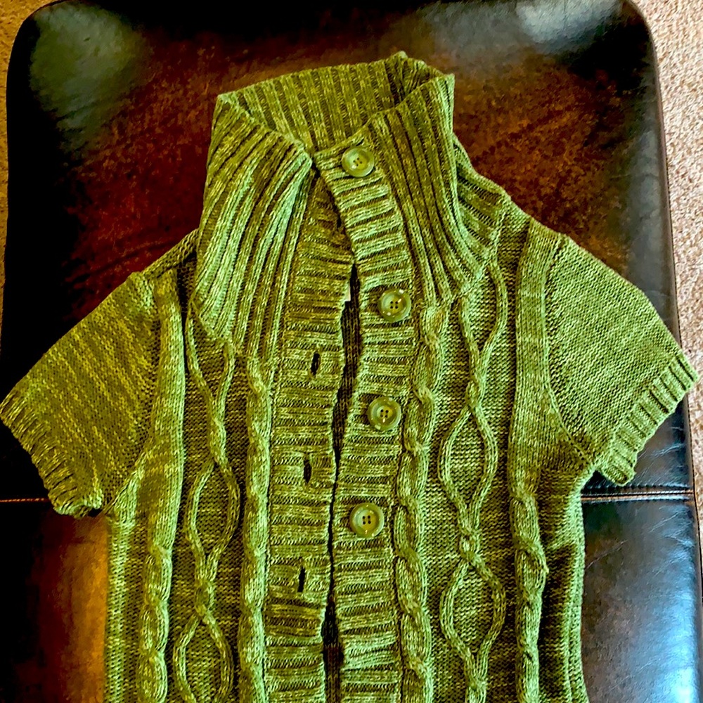 Daisy -green short sleeve sweater.